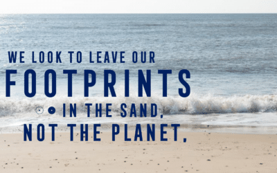 Adnams – a sustainable brewery